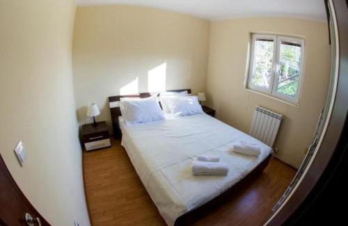 Skaljari Apartment | Apartments Golden View