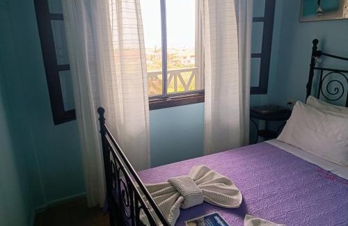 Psakoudia Apartment | Apartments Karpetis a green paradise