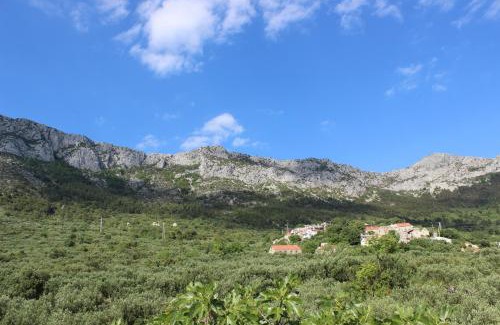 Gradac Apartment | Apartments Mateljak