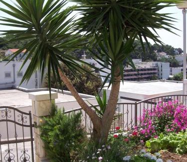 Krizna luka Apartment | Apartments Prosperina Hvar