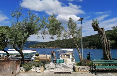 Valun House | Apartments & Rooms Dinko