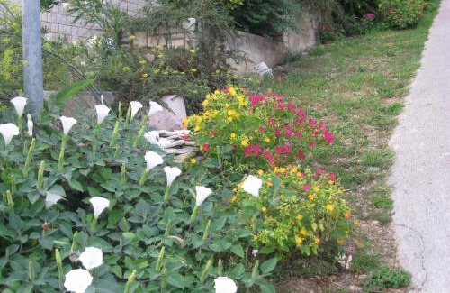 Rabac Apartment | Apartments Silmare