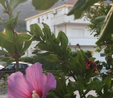 Strozanac Apartment | Apartments with a parking space Podstrana, Split - 16032