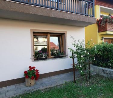 Delnice Apartment | Apartments with a parking space Delnice, Gorski kotar - 20247