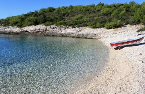 Rukavac Apartment | Apartments with parking space Rukavac, Vis - 8839