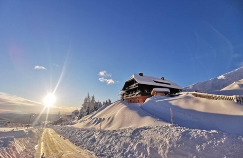 Reichenau Apartment | *App. Type L - House Bergkristall Falkert