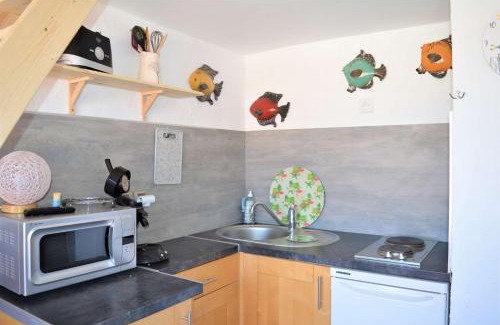 Leucate Apartment | Appart Studio Mezzanine 2 couchages PORT LEUCATE NATURISME PL010-832