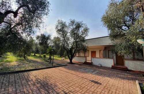 Montincello Apartment | Appartamenti Anna Maria