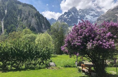 Entreves Apartment | Appartamenti vista Monte Bianco Courmayeur-Entrèves