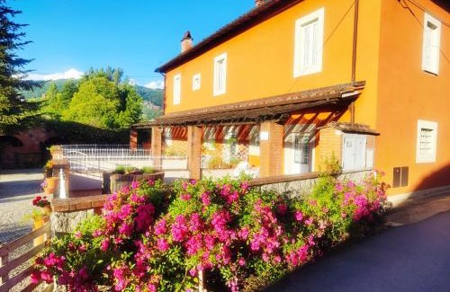 Pescia Apartment | Appartamento Cardellini 1