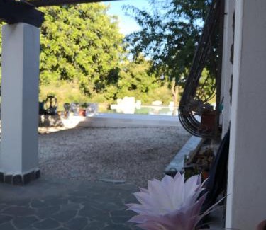Dorgali Apartment | appartamento in Villa