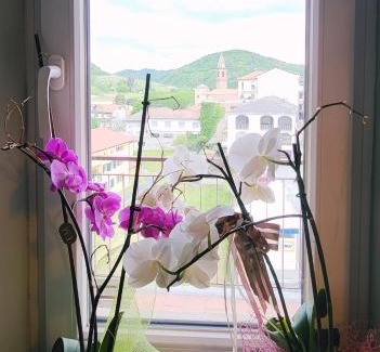Monastero Bormida Apartment | Appartamento SOAL
