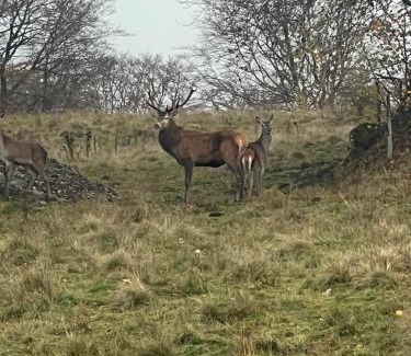 Egliseneuve-d'Entraigues Apartment | Appartement Dans un village en Auvergne sancy