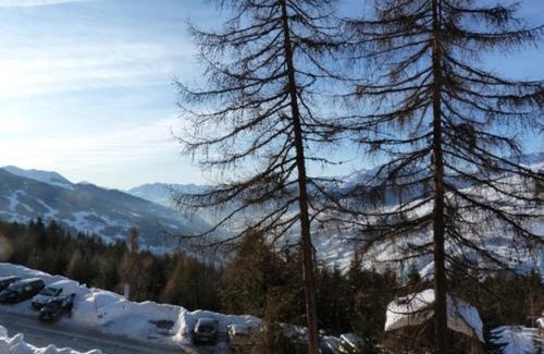 Arc-1800 Apartment | Appartement 2 pièces, 5 pers, balcon, proche télécabine, animaux acceptés - FR-1-411-231