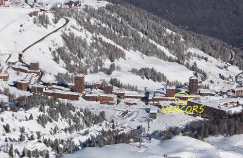 Plagne Centre Apartment | Appartement 3 pièces au pied des pistes avec balcon, animaux admis - FR-1-455-86