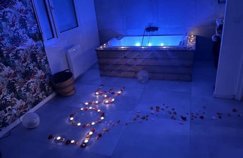 Republique - Tolstoi Apartment | appartement avec jaccuzzi 15 min du centre de lyon