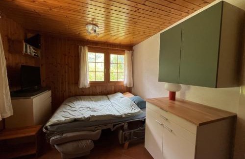 Zinal Apartment | Appartement avec jardin au coeur de la nature