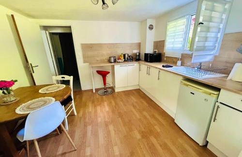 Chatillon-sur-Indre Apartment | Appartement entrée privative, terrasse et jardin