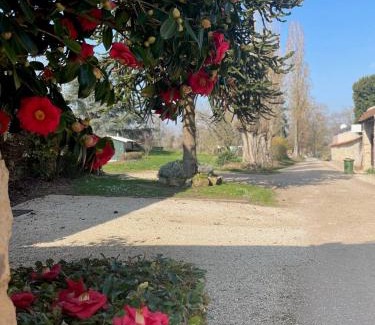 Hargeville Apartment | Appartement Héritage - 1 chambre 4 personnes