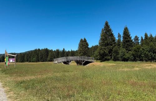 Autrans-Meaudre-en-Vercors Apartment | Appartement Les Ptits Loups