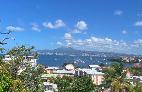 Trois-Ilets Apartment | Appartement moderne 2 pièces avec parking et proche plage - FR-1-765-11