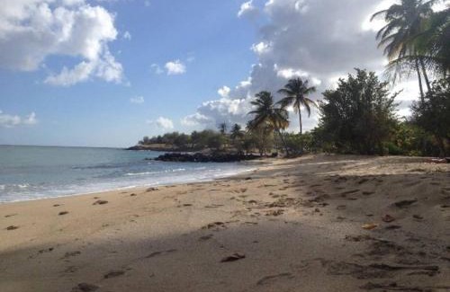 Sainte-Luce Apartment | Appartement spacieux a Sainte Luce avec piscine privee 100 m²