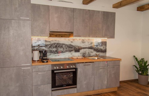 Bad Gastein Cabin | Appartement Stille - Gasthof Appartements Gamskar