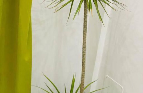 Lome Apartment | Appartement T 2 : Résidence LES 11 PLURIELLES