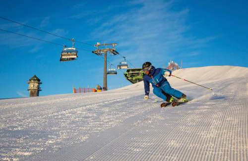 Hinterzarten Apartment | Appartements Waldrose