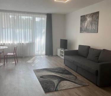 Kalk Apartment | Appartment Messe