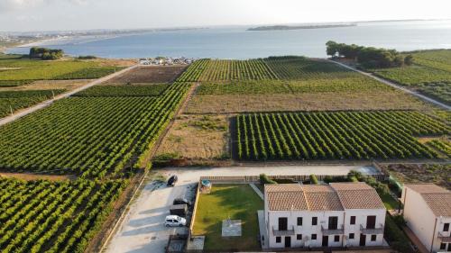 Birgi Vecchi House | Aquilone Garden