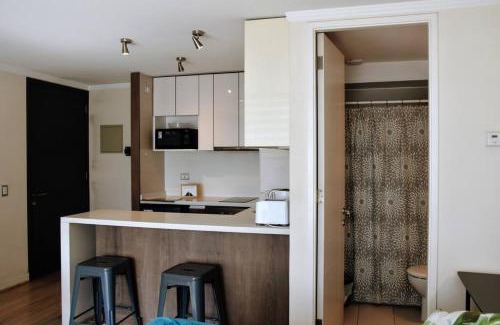 Apoquindo Apartment | Arauco Apartment