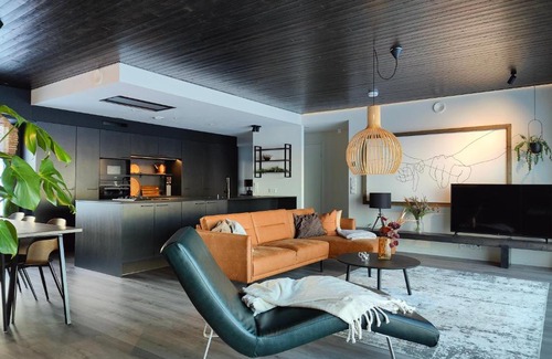 Rovaniemi Villa | Arctic Aurora HideAway