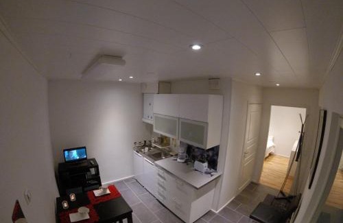 Rovaniemi House | Arctic Jokasa Apartment