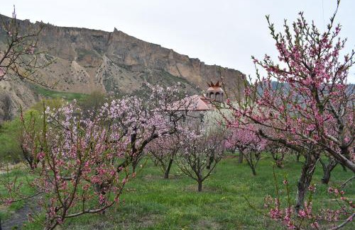 Areni Hotel | Areni Lodge