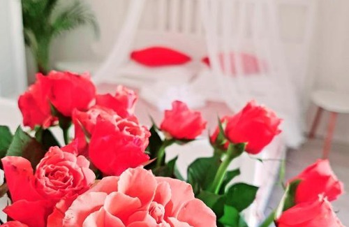 Costinesti Hotel | Argö Costinești