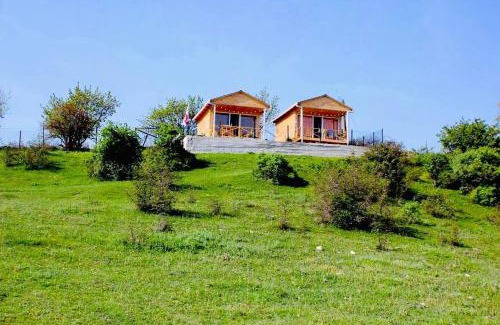 Kakheti House | Arkhilo's cottage