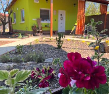 Zsombo Apartment | Arvisura Vendégházak family and pet friendly apartments