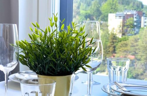 Kuopio Apartment | Aseman Portti - Stunning Studio 10th Floor