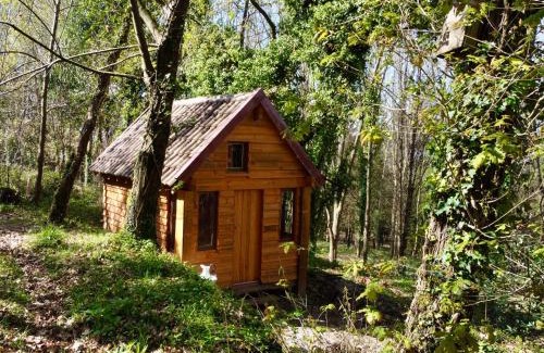 Branca House | Associação Quinta das Relvas