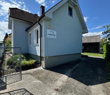 Kirchstetten House | atrium roselina