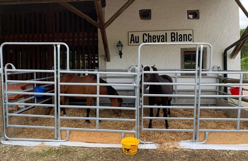 Asuel House | Au Cheval Blanc