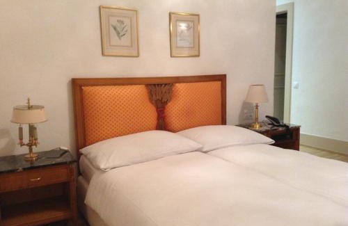 Cully Hotel | Auberge du Raisin