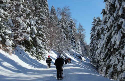 Boutx Hotel | Auberge La Soulan
