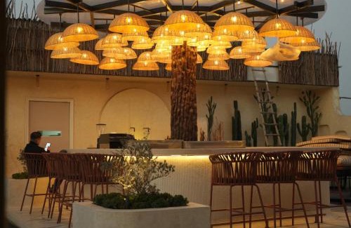 Zirakpur Hotel | AVA Hotel Chandigarh Zirakpur