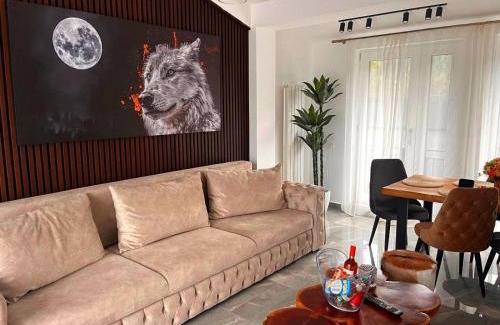 Predeal Apartment | AYASI Luxury Apartment Predeal