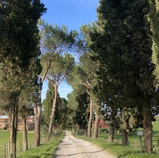 Castel Sant'Elia House | Azienda Agricola il Borgo di Sant'Elia