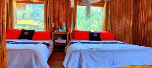 Thong Nguyen House | Bình Minh homestay