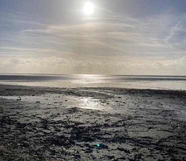 Herbaijum Bed & Breakfast | B&B Buorren 5