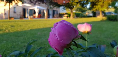 Montelupone Bed & Breakfast | B&B Cervare